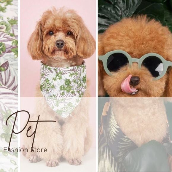 Other - Round Mint Fashion Pet Sunglasses and Bandana Set